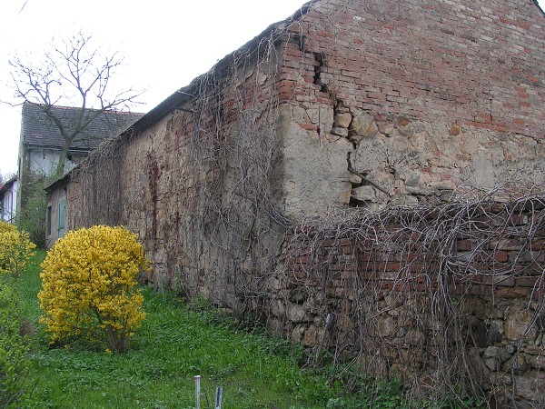 ČESKÉ STŘEDOHOŘÍ - LOVOŠ 570 M